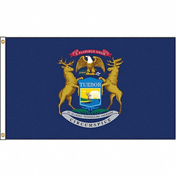 Nylglo Michigan Flag,4x6 Ft,Nylon 142670