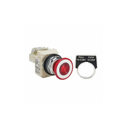Schneider Electric Illuminated Push Button,30mm,1NO/1NC,Red 9001KR9P35LRRH13
