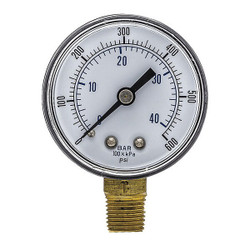 Pic Gauges Pressure Gauge,General Purpose,2" Dial SEP-101D-204K-BSPT