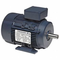 Marathon Motors GP Motor,1/3 HP,3,430 RPM,230/460V AC,63  063T34FH5302