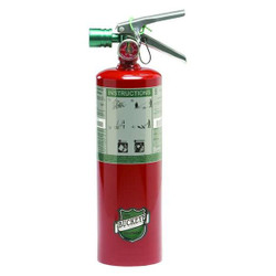 Buckeye Fire Equipment Fire Extinguisher,Steel,Red,BC 70510
