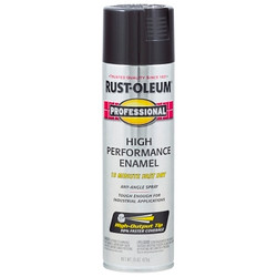 Professional Enamel Spray Paint, 15 oz, Black, Gloss Finish