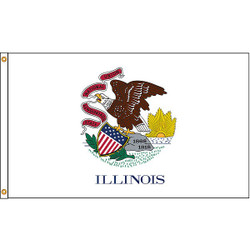 Annin Flagmakers Illinois Flag,5x8 Ft,Nylon 141480