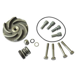 Dayton Pump Repair Kit,For 2ZWT9,2ZWU1 21TG63