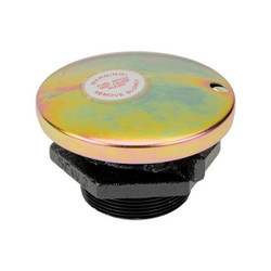 Gpi Vent Cap,2 In NPT Outlet  906001-4