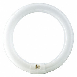 Philips Fluorescent,31 W,T9,4-Pin (G10q) FC12T9/COOL WHITE PLUS