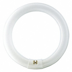 Signify Fluorescent,31 W,T9,4-Pin (G10q) FC12T9/COOL WHITE PLUS