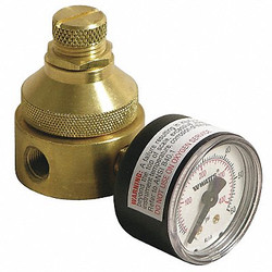 Watts Pressure Regulator,1/4 In,0 to 125 psi  1/4 LF560G 0-125