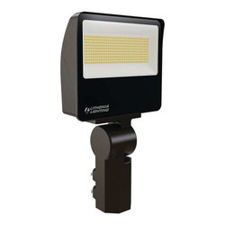 Lithonia Lighting Floodlight,Housing Color Bronze,100 W ESXF3 ALO SWW2 YS DDB M2