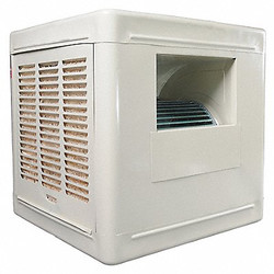 Dayton Ducted Evaporative Cooler,4800 cfm,1/2HP 4RNP4