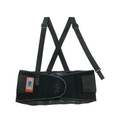 Ergodyne® ProFlex® 100 Economy Back Support, 4X-Large, Black, 1/Each