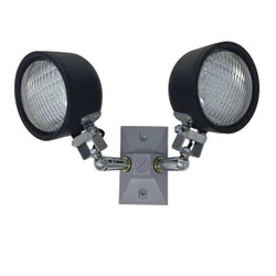 Big Beam Remote Head,LED,6V,5W,9" H,13" W,2 Lamps LS36WPDH6