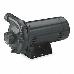 Dayton Pump,2-1/2 HP,1 Ph,240VAC  4RJ69