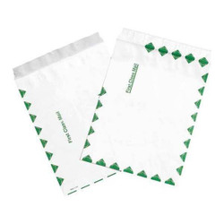 Tyvek Flat Envelopes,9x12",PK100 TYF0912FC