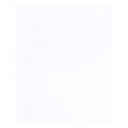 Partners Brand Polypro Bag,10x15",PK1000 PZ457
