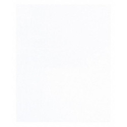 Partners Brand Polypro Bag,20x30",PK500 PZ475