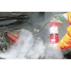 Amerex Fire Extinguisher,Steel,Red,ABC B500T