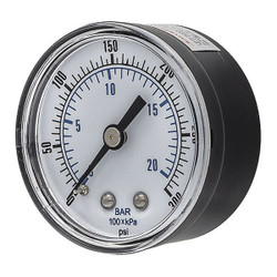 Pic Gauges Pressure Gauge,General Purpose,2" Dial SEP-102D-204H-BSPT