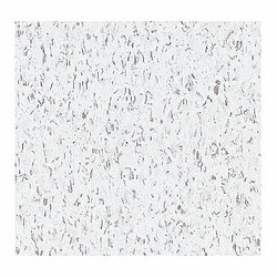 Armstrong Vinyl Composition Tile,45sq ft,PK45 FP51899031