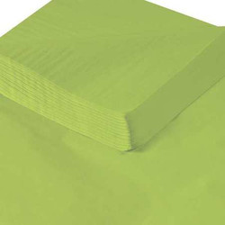 Partners Brand Tissue Paper,20"x30",Citrus Green,PK480 T2030N