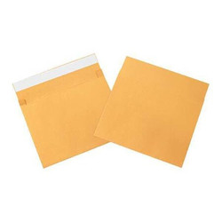 Partners Brand Expandable SelfSeal Envelope,10x15,PK100 EN1067