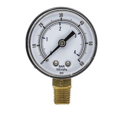 Pic Gauges Pressure Gauge,General Purpose,2" Dial SEP-101D-204D-BSPT