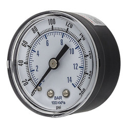 Pic Gauges Pressure Gauge,General Purpose,2" Dial SEP-102D-204G-BSPT