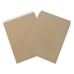 Partners Brand Mailer,Flat,SelfSeal,17x21",PK100 RM7K
