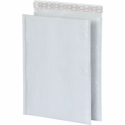Quality Park  Mailer 95011