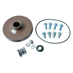 Dayton Pump Repair Kit,For 2ZXJ5,2ZXJ6 21TH19