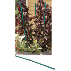 Gardener's Blue Ribbon 3 Ft. Green Bamboo Plant Stake (25-Pack)