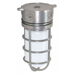 Nuvo Outdoor Wall Fixture,1L,10",Silver SF76-624