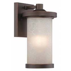 Nuvo Outdoor Wall Fixture,1L,LED Glass,Bnz 62-641