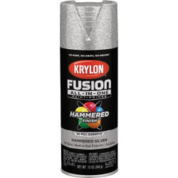 Krylon Fusion All-In-One 12 Oz. Hammered Spray Paint, Silver K02788007