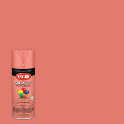 Krylon ColorMaxx 12 Oz. Gloss Spray Paint, Coral Isle K05514007