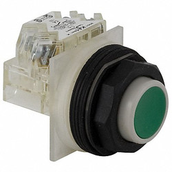 Schneider Electric Non-Illuminated Push Button,30mm,Plastic 9001SKR3GH5
