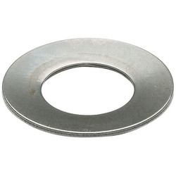 Spec Disc Spring,0.25,SS,Belleville,PK10 B0750025S