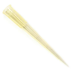 Globe Scientific Pipette Tip,0.1 to 200uL,Refill,PK960 151150YRF