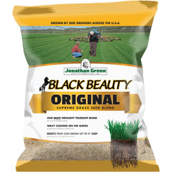 Black Beauty 5lb Black Beauty Seed 10318