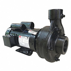 Dayton Centrifugal Pump,2 HP,1 Ph,115/230VAC  55JJ63
