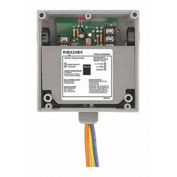 Functional Devices-Rib Enclosed,20A,Relay/Analog Current RIBX24BV