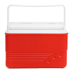 Manufacturer Varies Personal Cooler,Hard Sided,4.8 qt. 4AAP8