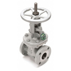 Newco Gate Valve,3 In.,Carbon Steel  03-13F-CB2