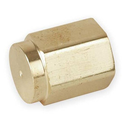 Parker Hex Head Cap, Bright Brass, 1/8 in,FNPT 2 CP-B