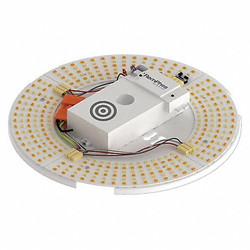 Remphos LED Circular Drum,9",10W,4000K RPT-P-LEDCR-G2-9IN-14L-840-FWFC
