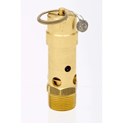Control Devices Soft Seat,Stainless Steel,150 psi SB75-0A150