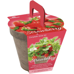 TotalGreen Holland Strawberry Grow Kit TSC-508