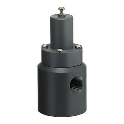 Plast-O-Matic Pressure Relief Valve,1/4In,5 to 100 psi RVD025V-PV