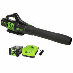 Greenworks Cordless Blower 2424402VT