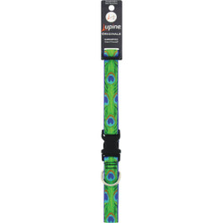 Lupine 1 In. Woven Pattern Tail Feather 16 In. to 28 In.  Adjustable Collar